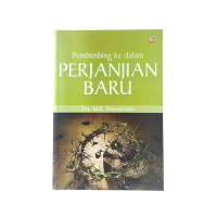 pembimbing ke dalam perjanjian baru