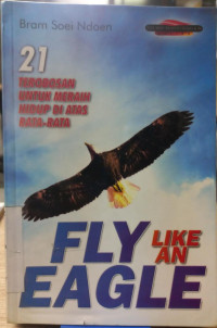 FLY LIKE AN EAGLE